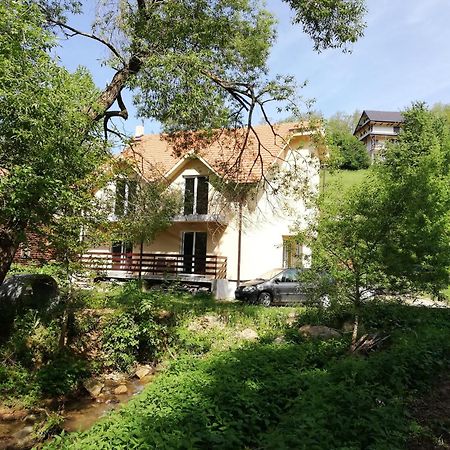 Vila Vrh Crni Vrh المظهر الخارجي الصورة