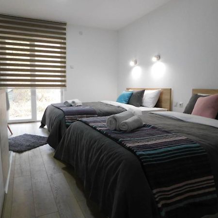 Vila Vrh Crni Vrh المظهر الخارجي الصورة