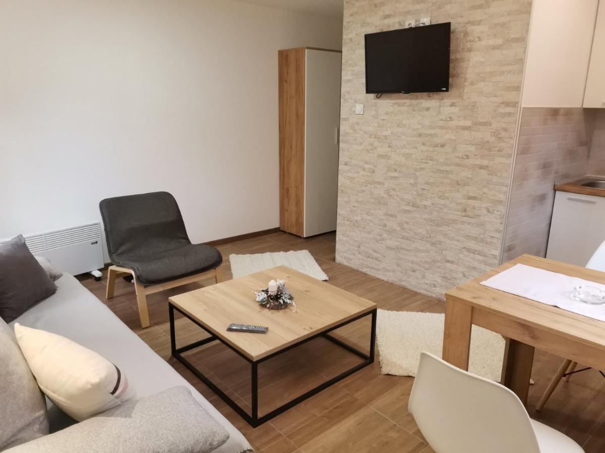 Vila Vrh Crni Vrh المظهر الخارجي الصورة