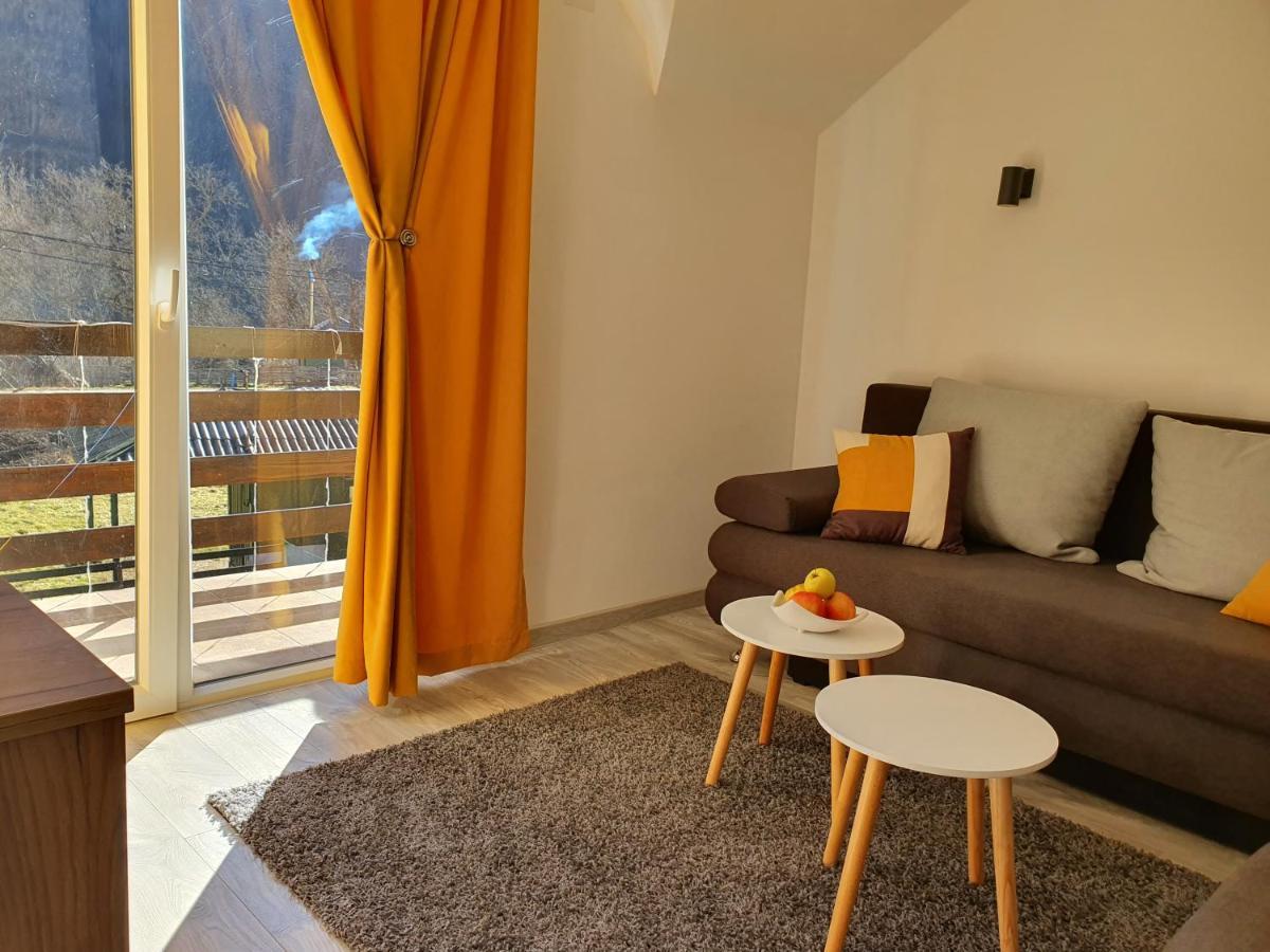Vila Vrh Crni Vrh المظهر الخارجي الصورة