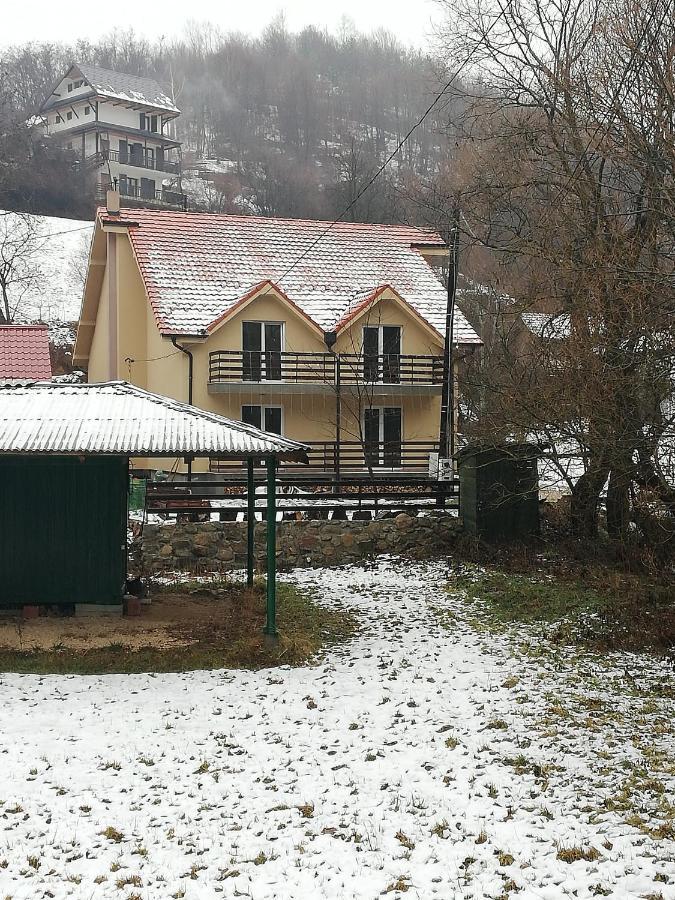 Vila Vrh Crni Vrh المظهر الخارجي الصورة
